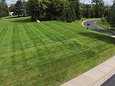 Commercial Lawn Care, Columbus, GA