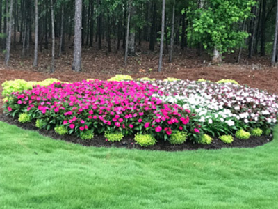 Lawn Care Services, Ellerslie, GA