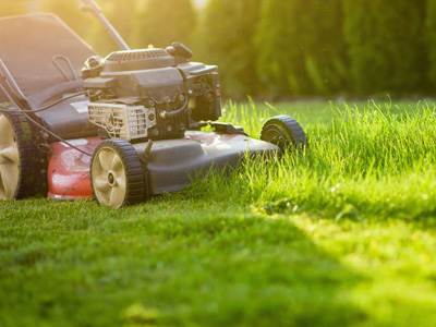 Lawn Mowing