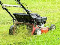 Lawn Mowing
