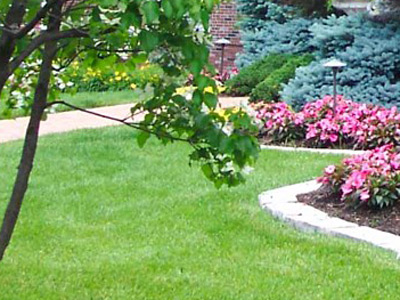 Residential Lawn Care, Phenix City, AL