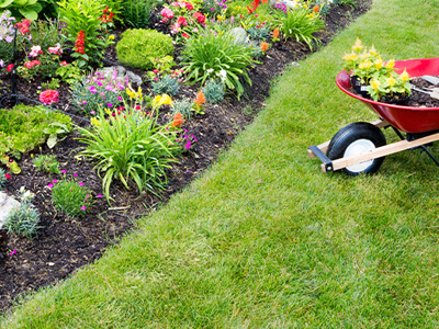 Seasonal Cleanups