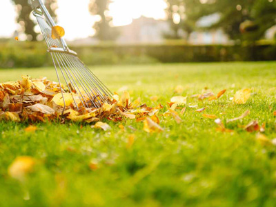 Seasonal Lawn Care