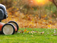 Seasonal Lawn Care