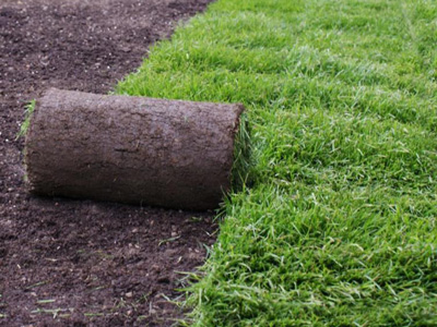 Sod Installation, Columbus, GA