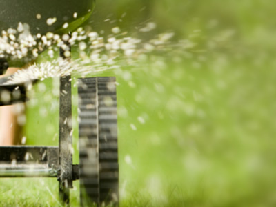 Weed Control & Fertilization, Waverly Hall, GA