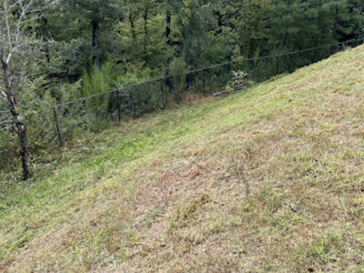 Land Clearing Tips, Columbus, GA