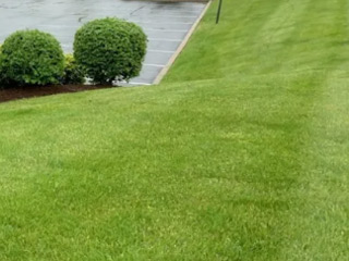 Commercial Lawn Care, Columbus, GA