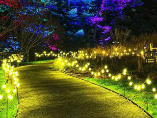 Holiday Landscape Design Ideas, Columbus, GA