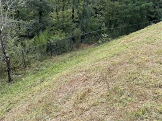 Landscape Maintenance, Columbus, GA