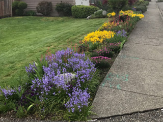 Landscaping, Columbus, GA