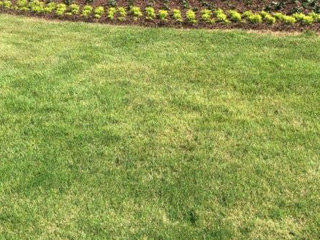 Lawn Care, Columbus, GA