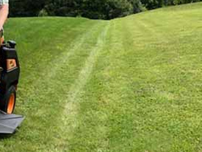 Residential  Lawn Care, Columbus, GA