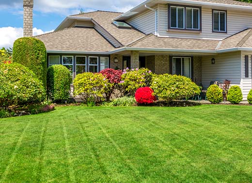 About Four Seasons Lawn Care & Landscape Management