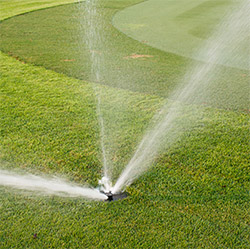 Weed Control, Ft Mitchell, AL Weed Control, Ft Mitchell, AL