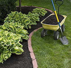 Fertilization, Midland, GA Fertilization, Midland, GA