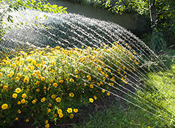 Landscape Installation, Ft Mitchell