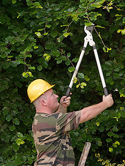 Landscape Maintenance, Midland, GA