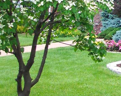 Lawn Care in Fortson, GA