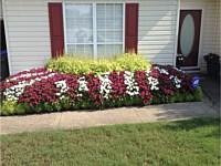 Landscape Design