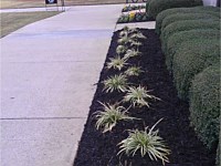 Fertilization & Weed Control