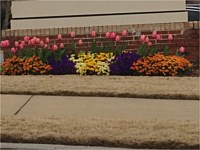 Residential Landscaping