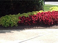 Residential Landscaping