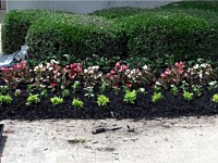 Fertilization & Weed Control