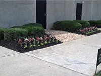 Landscape Design