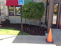Lawn Maintenance
