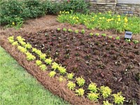 Residential Landscaping