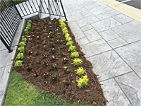 Residential Landscaping