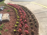 Landscape Design
