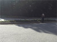 Residential Landscaping
