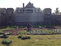 Lawn Maintenance