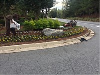 Lawn Care