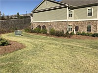 Lawn Maintenance
