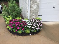 Landscape Design