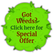 Got Weeds? Click here for Special Offer